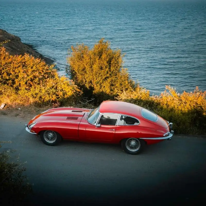Jaguar-ICONIC